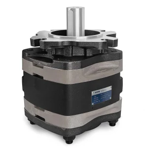 VOITH Internal Gear Pump IPVP