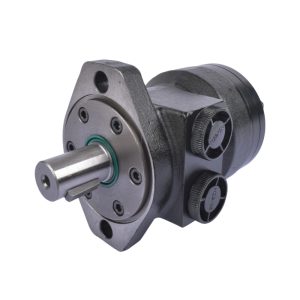 Hydraulic Motor Low Speed High Torque