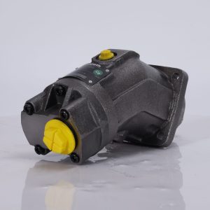 Rexroth A2FO12 Hydraulic Piston Pump Motor