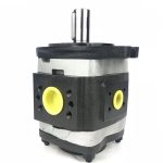 IPVP Series Gear Pumps