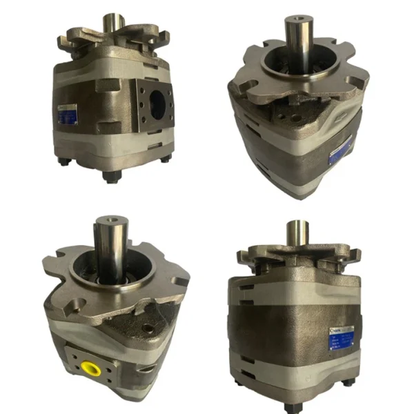 Voith Hydraulic Gear Pump