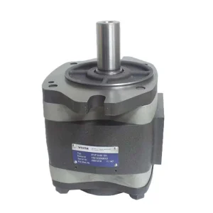 Voith IPVP-6-80-101 Internal Gear Pump
